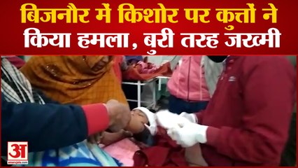 बिजनौर में किशोर पर‌ कुत्तों ने किया हमला, बुरी तरह जख्मी घायल का अस्पताल में ईलाज जारी