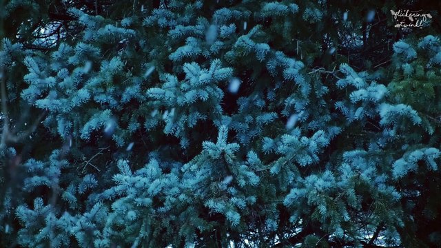 Jingle Bells 7 - Kevin MacLeod | Instrumental Christmas Music | Relaxing Ambience | Joyeux Noël