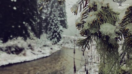 Snow Princess - Jimena Contreras | Instrumental Christmas Music | Relaxing  Ambience | Joyeux Noël