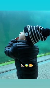 Marion Rousse et Julian Alaphilippe emmène leur fils Nino au zoo.