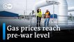 European natural gas prices drop back to pre-Ukraine war levels