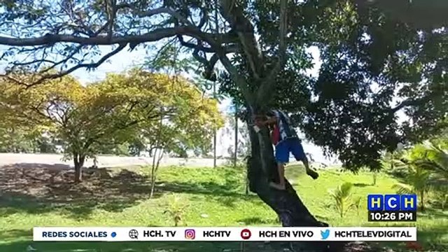 ¡Indignación! Vecinos de barrio La Laguna de Puerto Cortés molestos por no ganar concurso Ciudad Iluminada