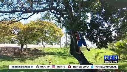 ¡Indignación! Vecinos de barrio La Laguna de Puerto Cortés molestos por no ganar concurso "Ciudad Iluminada"