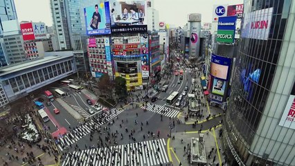 Home Sweet Home Alone | Official Trailer | Disney+