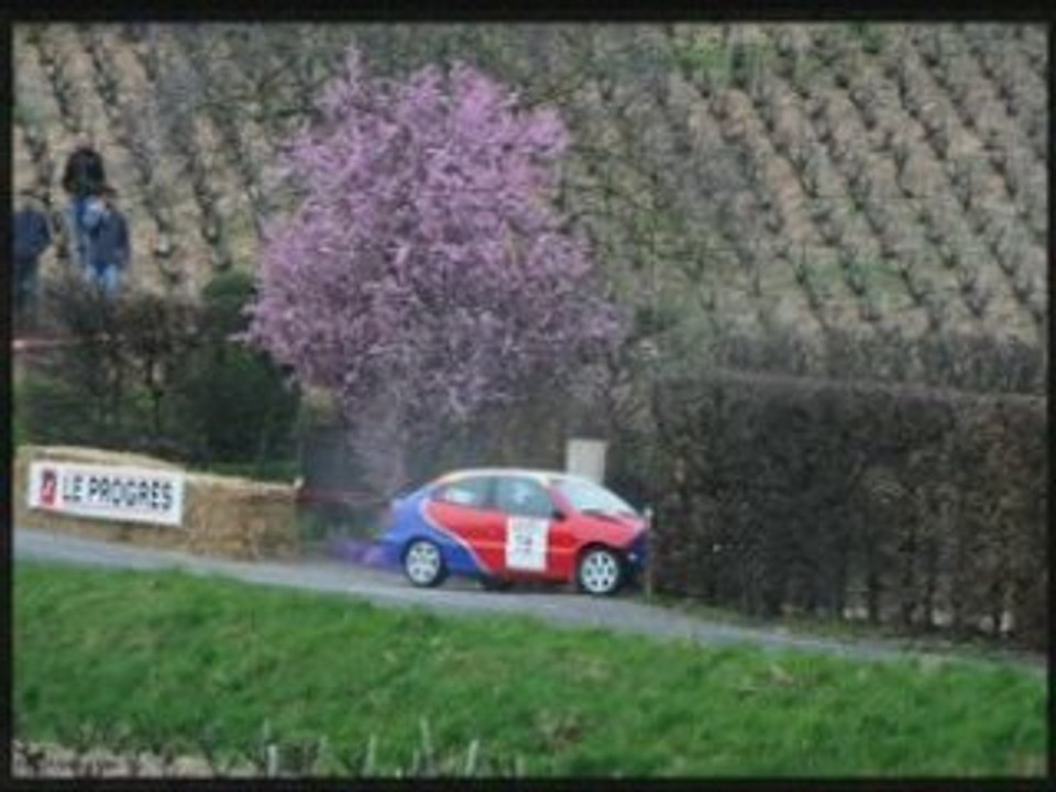 Vignes 08