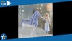 Ce coffret Elsa La Reine des Neiges et Nokk connaît une promo excpetionnelle de 37 % pour Noël