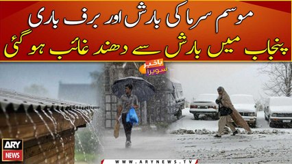 Rain causes Punjab fog/smog to die down