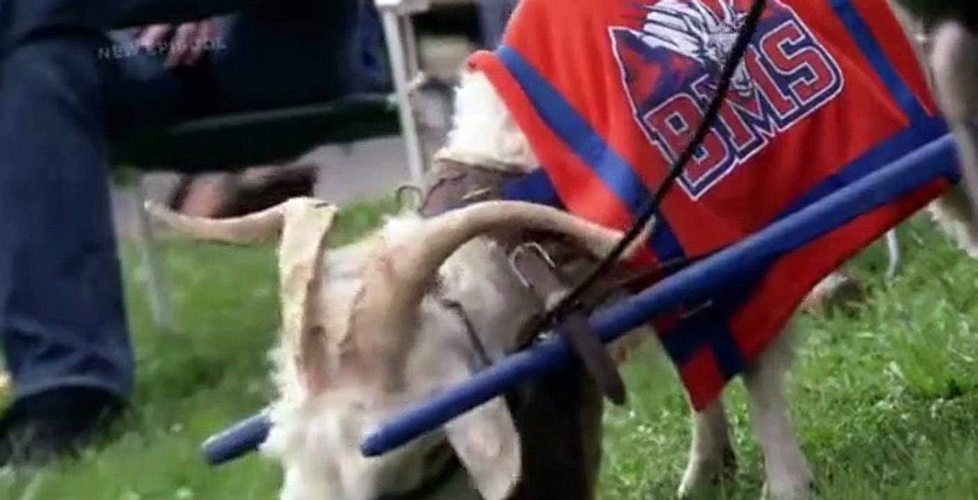 Blue Mountain State S02 E09