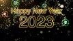 Happy New Year 2023 | New Year Stock Footage | Happy New Year 2023 No Copyright | Romance Post BD