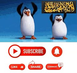 pdt torosokhi hny jdi pengemis gak berani diskusi dgn bang zuma