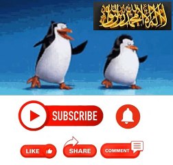 niatnya membela pdt. torosokhi yg mengemis di tiktok malah babak belur