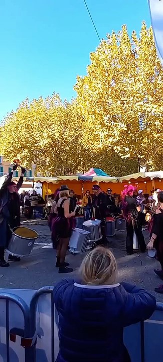 FOIRE DE LA SAINT-MARTIN Voiron 2022 #France #Voiron #Foire #foiredefrance #france #2022 #dance #animation (123)