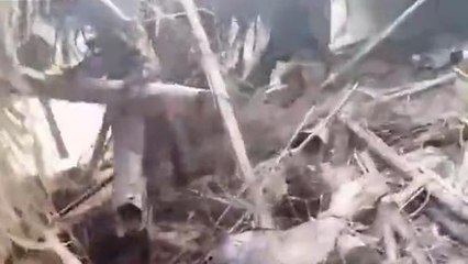 ঝাড়গ্রাম: রাতভর হাতির তান্ডব,প্রচুর ক্ষয়ক্ষতি,আতঙ্কিত এলাকা!