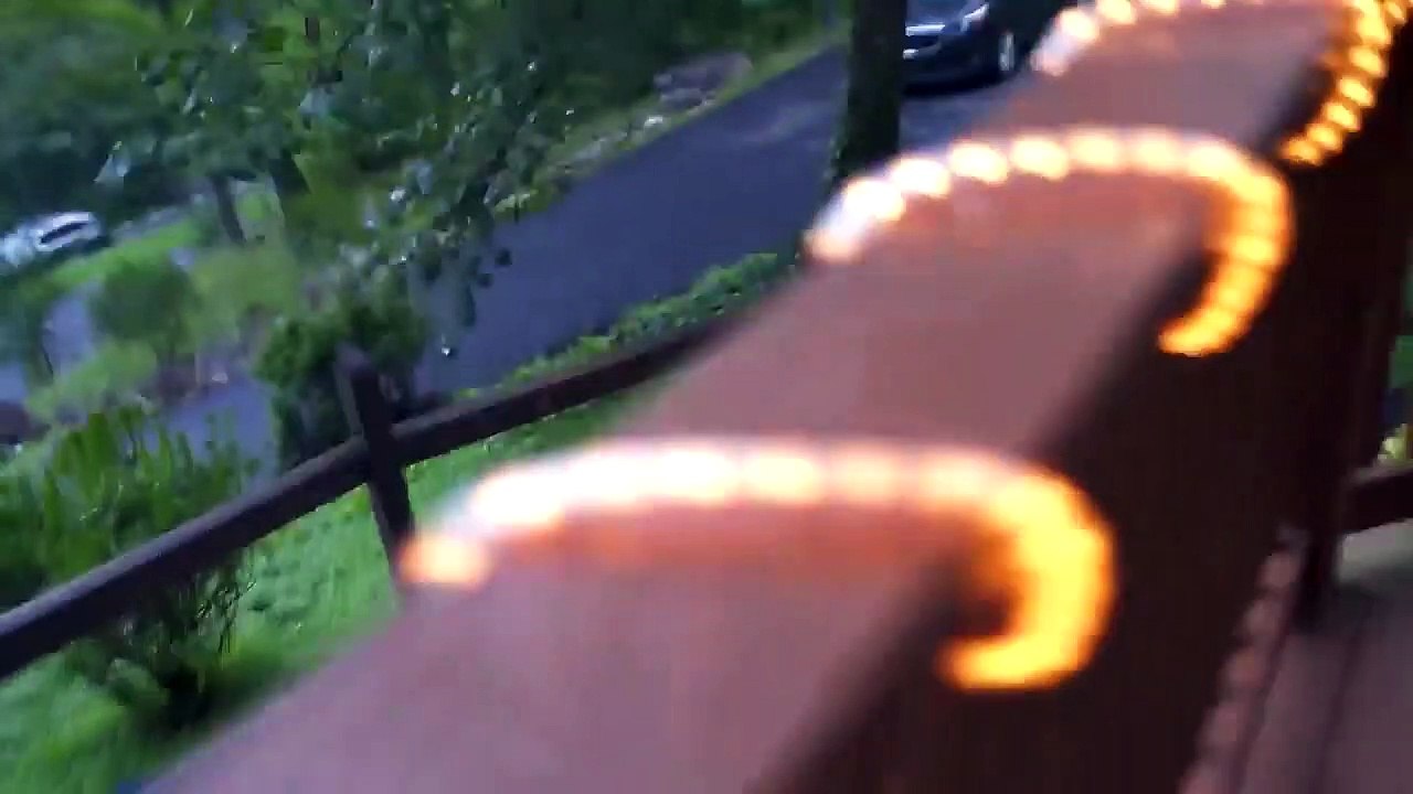 6 Bear Encounters You Don't Want to See
