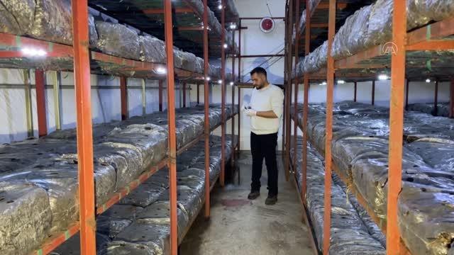 Girişimci yüksek ziraat mühendisi, devlet desteğiyle işini büyüttü