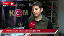 İstanbul’da lüks villadan çıkanlar şoke etti