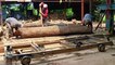 Indian sawmill Woodworking || Neem wood cutting horizontal working sawmill