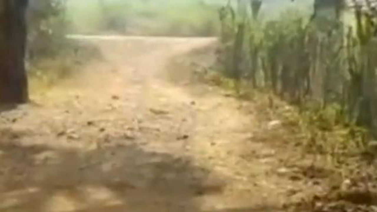 बालाघाट: कागज पर बन गई सीसी सड़क,जमीन पर सब हवा...