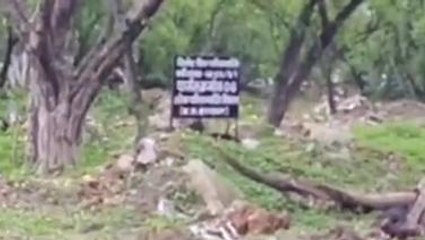 उज्जैन: विनोद मिल्स कंपनी लिमिटेड की जमीन के रेट पुनरीक्षण की तैयारी,सुझाव 4 जनवरी तक लिए जाएंगे