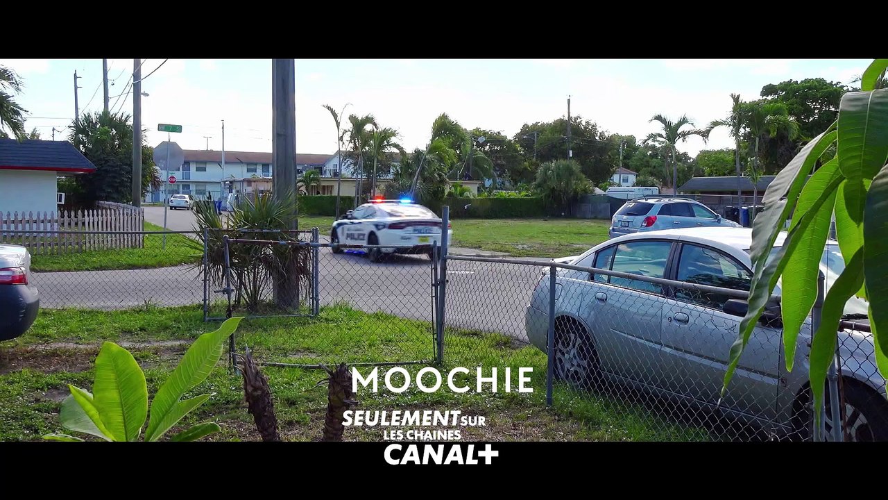 VITRINE PUB JANVIER 2023