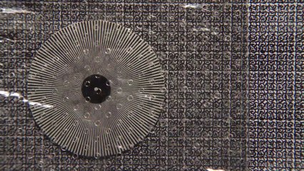 Circumstantial Pleasures (2020) Watch HD HD Deutsch