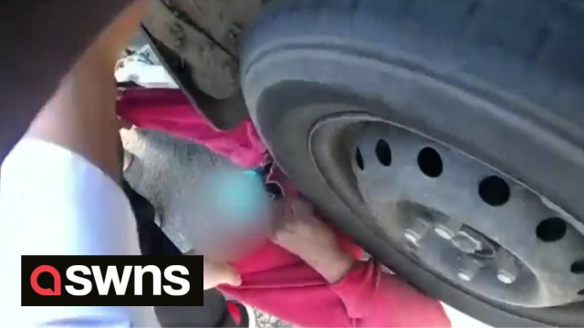 Heroic moment good Samaritans help officers rescue 65-year-old cyclist trapped under stolen car