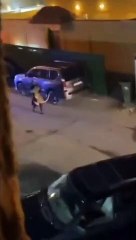 Une femme ramène son gros chat qui s'est échappé de la maison