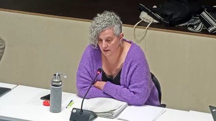 La batllessa de Sant Quirze del Vallès acusa la Generalitat "d'espolsar-se les puces" amb la discoteca Waka