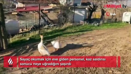 Sayaç okumak için eve giden personel, kaz saldırısı sonucu neye uğradığını şaşırdı