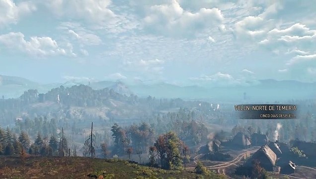 The Witcher 3: Wild Hunt - Armaduras de Las Mil Flores y Tigre del Oeste con sus espadas y katanas