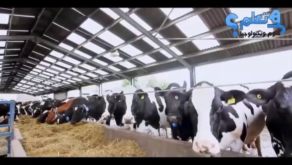 جولة في حظيرة الابقار الذكية - الات في منتهى الذكاء هذا هو التطور الحقيقي__(هل تعلم)