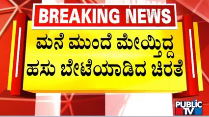 ಸಿದ್ದನಪಾಳ್ಯದಲ್ಲಿ ಹಸುವನ್ನು ಅಟ್ಟಾಡಿಸಿ ಕೊಂಡಿರುವ ಚಿರತೆ..! | Leopard Menace Continues In Bengaluru
