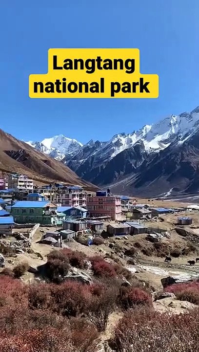 beauty of langtang national park