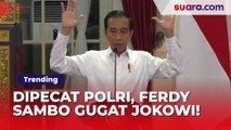 Digugat Ferdy Sambo, Begini Momen Kemarahan Jokowi atas Ulah Sambogate