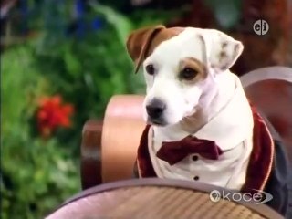 Wishbone - Se1 - Ep23 HD Watch HD Deutsch