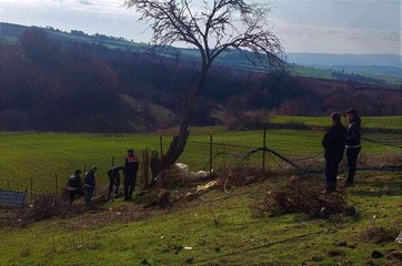 Köyü esrar tarlasına çeviren zanlı tutuklandı