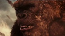 हिन्दी Godzilla vs Kong Film Explained in Hindi