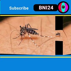 অবাক তথ্য _২  about Mosquito