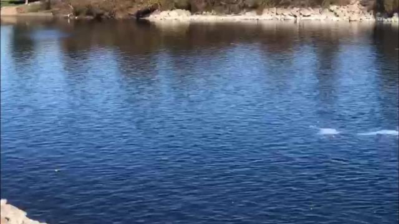 Müzeyyen Şevkin, Ceyhan'daki Atık Kirliliğine Dikkat Çekti: "Çevre ve Şehircilik Bakanlığı'nı İnsanların Ölümü Gerçekleşmeden Bu Konuya Müdahale...