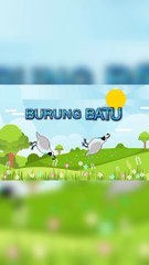 Gambar Dan Suara Burung Batu