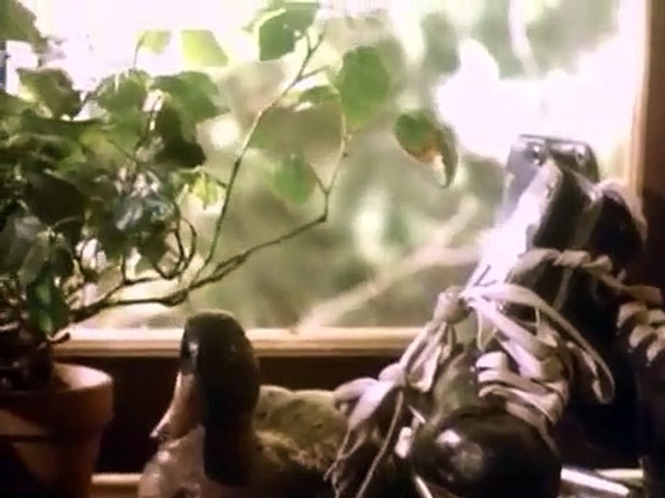 Coach - Se6 - Ep05 HD Watch HD Deutsch