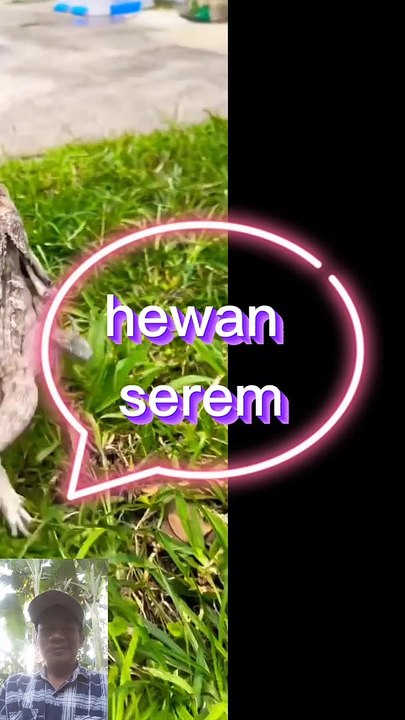 Hewan apa seremmm?