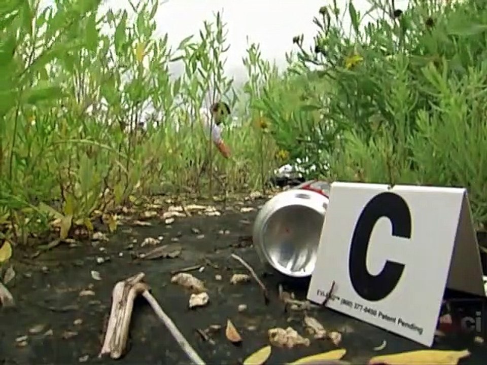 Forensic Files - Se12 - Ep14 HD Watch HD Deutsch