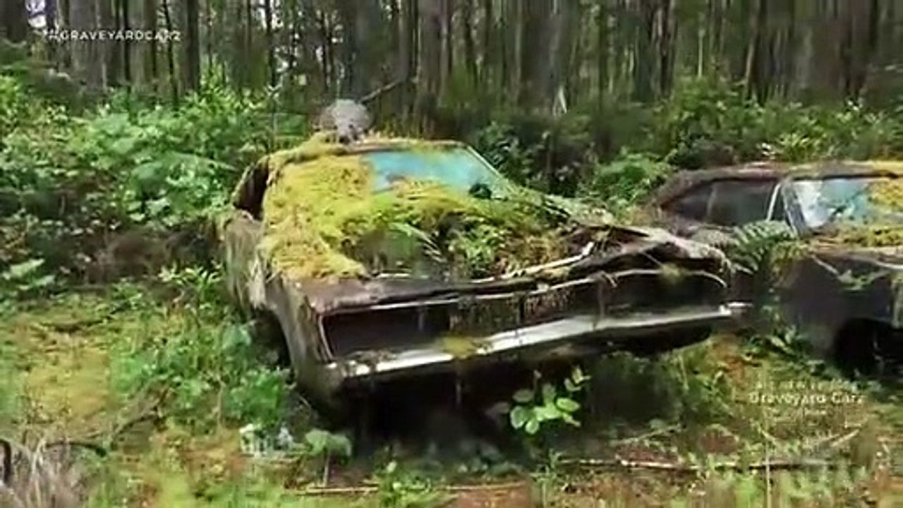 Graveyard Carz - Se6 - Ep08 - A Fly in the Ointment HD Watch HD Deutsch