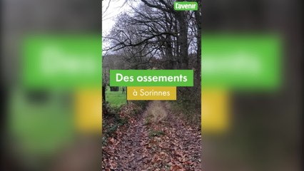 Récap de la semaine: 30.12.2022