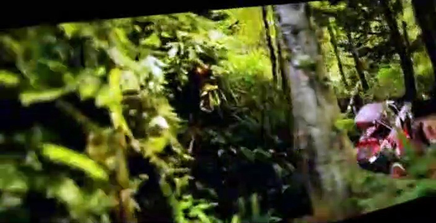 Drive 2016 S01 E02