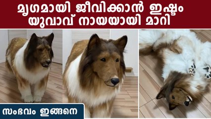 മൃ ഗങ്ങളെ ഇഷ്ടം. നായ ആയി മാറാൻ യുവാവ് മുടക്കിയത് 12 ലക്ഷം