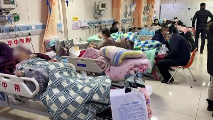 Governo chinês garante que dados sobre covid são 'transparentes'