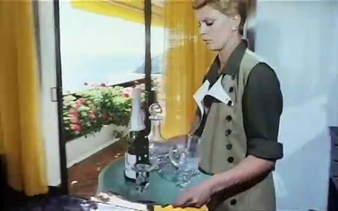 Zwei tolle Käfer räumen auf