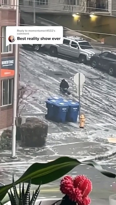 Seattle Residents on Ice